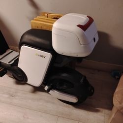 Electric Scooter 
