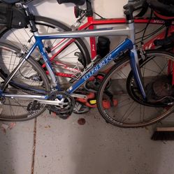 Blue Trek 