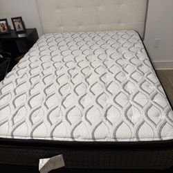 Sealy Mattress - Full size with Mattress Pad