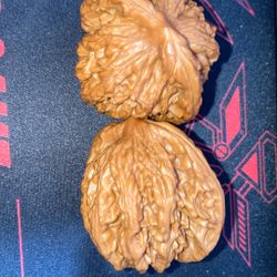 Wen With Plays Walnuts