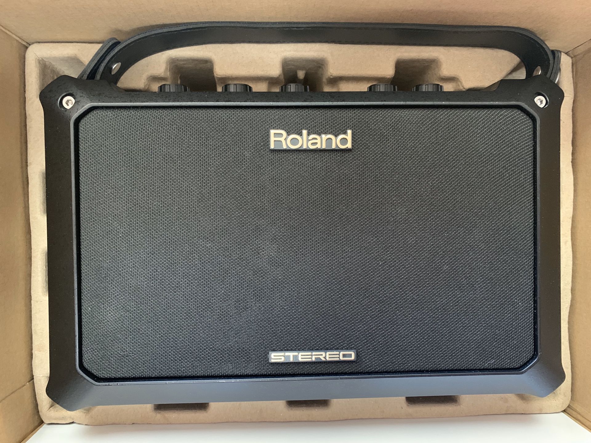 Roland Acoustic Chorus Mobile AC Battery or AC Gig Amplifier