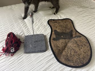 bundle of cat toys and scratcher