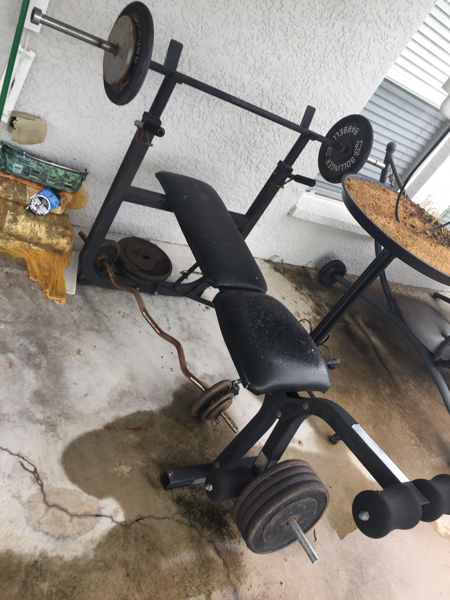 Bench/weights/curling bar