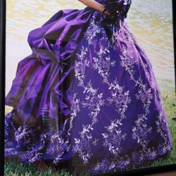 Quinceañera Dress 