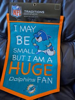 Dolphins Winning Streak Banner