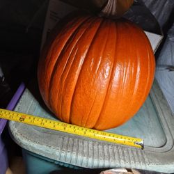 Calabazas  Nuevas Hobby Lobby Nunca Usadas Las Vendo Por Falta De Espacio Tengo 4 Anaranjadas Y Una Blanca Todas Del Mismo Tamaño  Todas Por $ 90.00 D