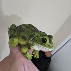 Frog
