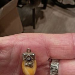 LoYAL ORDER OF MOOSE  TOOTH