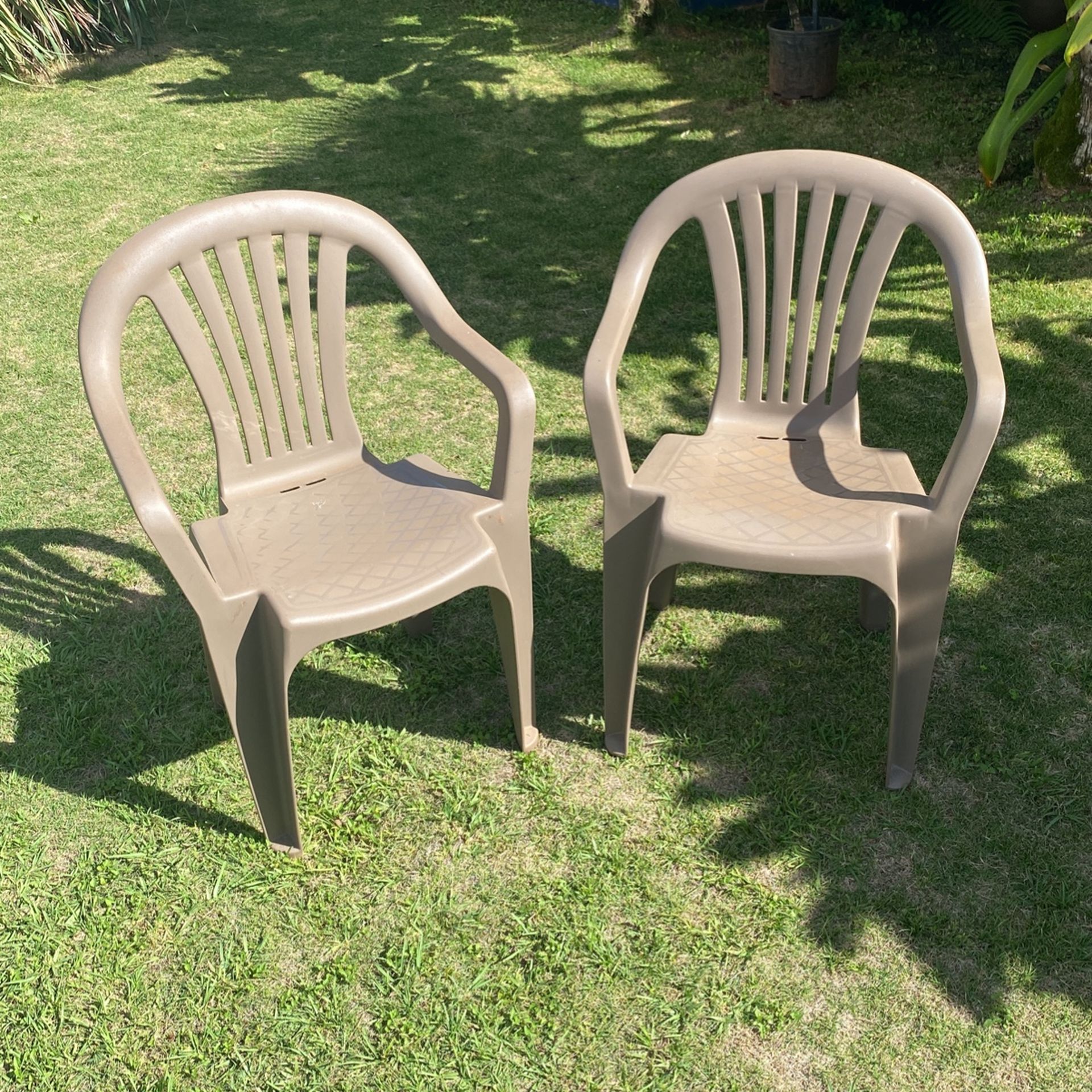 Patio chairs 