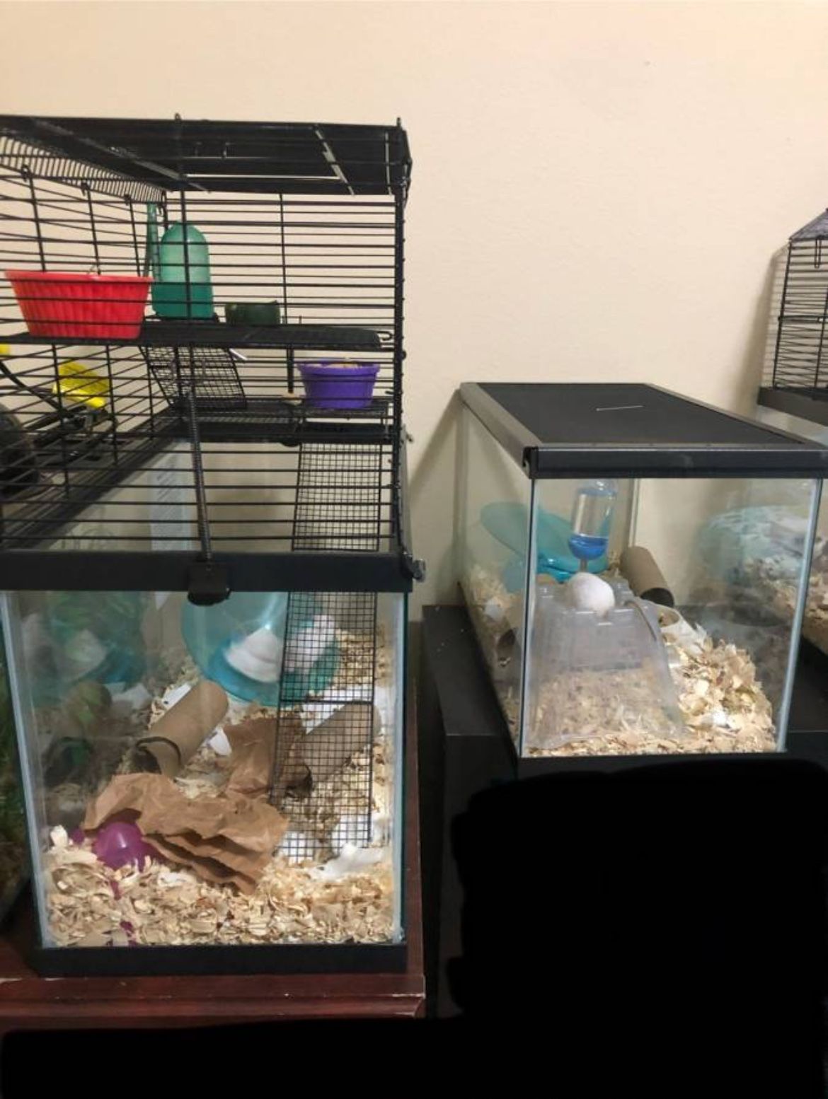 Rat/Mouse/Hamster Supplies