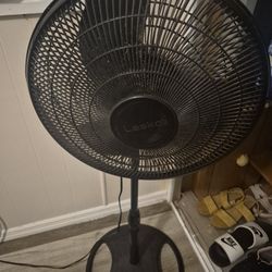 Fan
