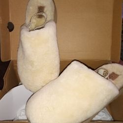 UGG Clogs 