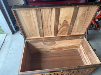 Chest