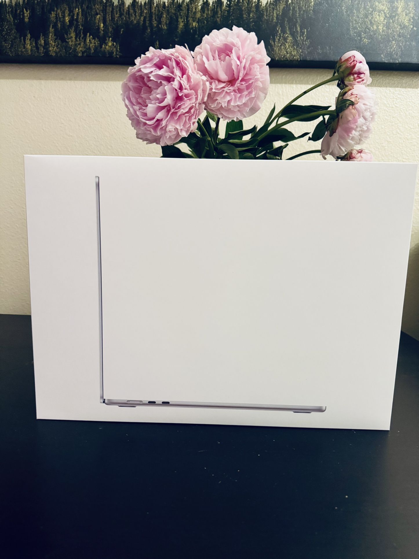 M4 MacBook Air 15 (new)