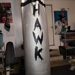 Hawk Punching Bag