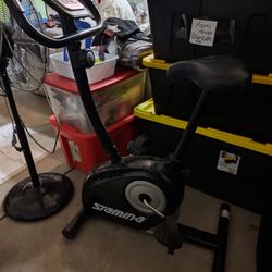 Stamina Exercise Bike