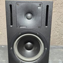 Genelec  HT206  Powerd Speaker   I Have 3 Of This