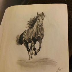 Horse Sketch