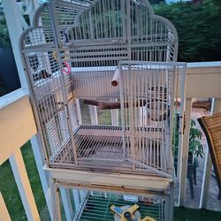 Parrot Cage