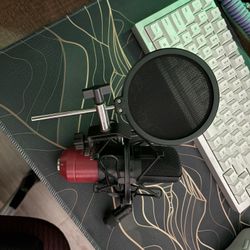 Scarlet Solo XLR Mic 