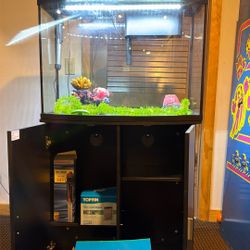 Fish Tank with Base and Accessories