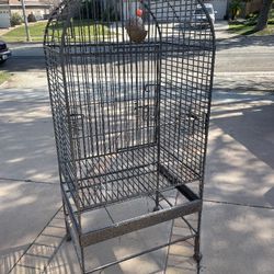 Bird Cage 