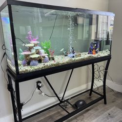 Fish Tank With All Accessories And Water WaterHose replacement