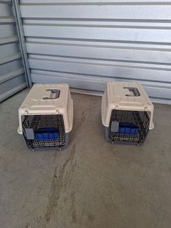 Brand new  small pet taxis