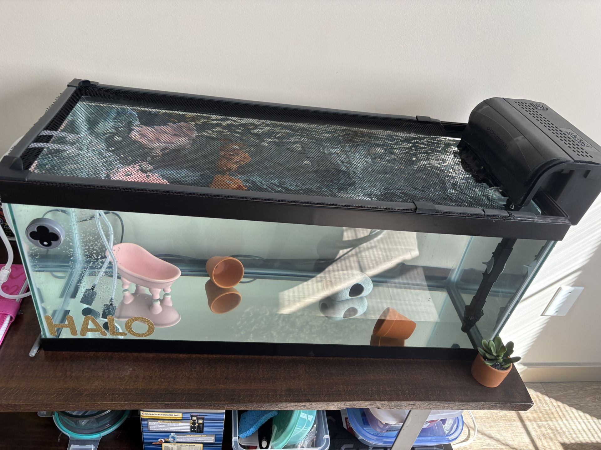 Tank 