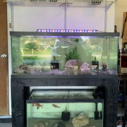 Fish Tanks For Sale