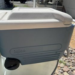 Cooler Igloo 