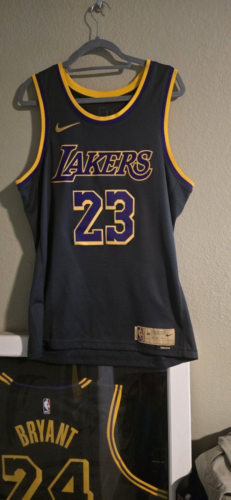 Nike Lakers LeBron James Earned Edition