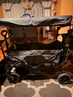 Wagon For 2 Kids