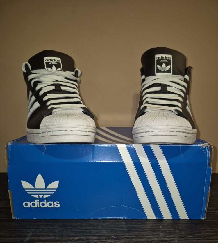 Adidas - ( Sz 8 )
