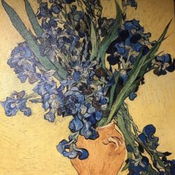 Vase with Irises by Van Gogh. 16x12 Canvas print.
