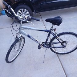 Specialized Expédition Sport Bike Large