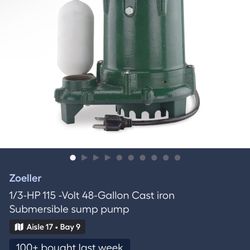 1/3 Hp Submersible Pump