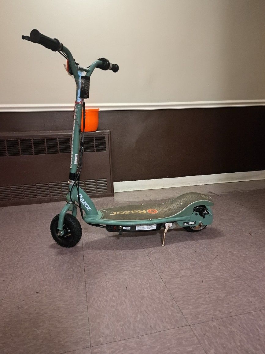 Electric Scooter 250 Watt