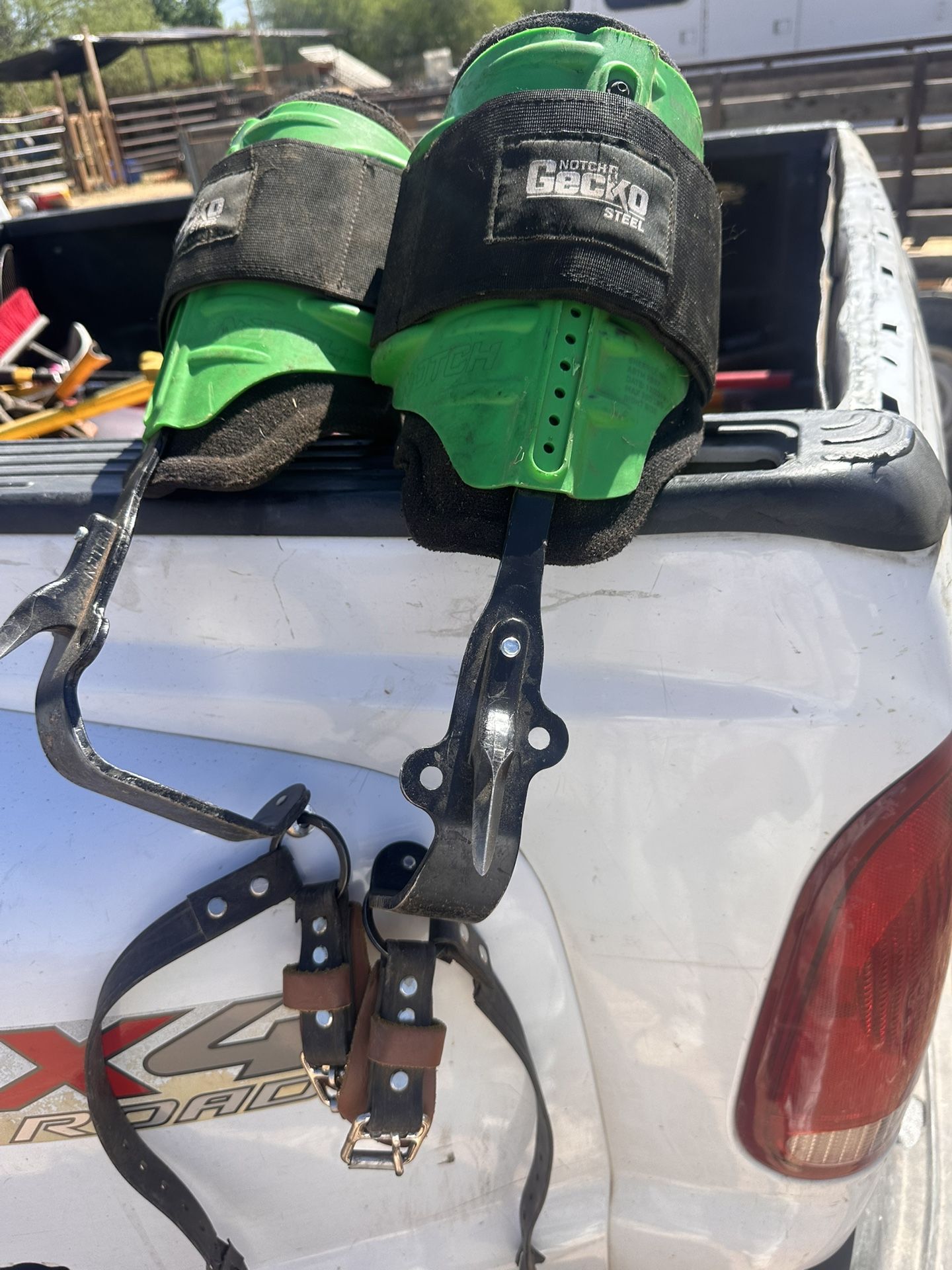 Notch Gecko Steel Gaffs