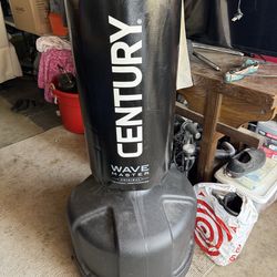 Century wave master punching bag