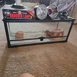 Zoomed Large Reptile Tank 