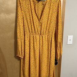 Women’s Dress