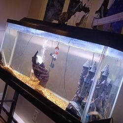  55 Gallon Fish Tank Holds Water
