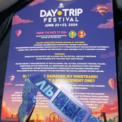 Saturday Day Trip Festival VIP
