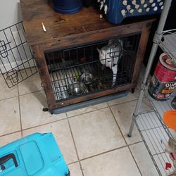 Dog Cage