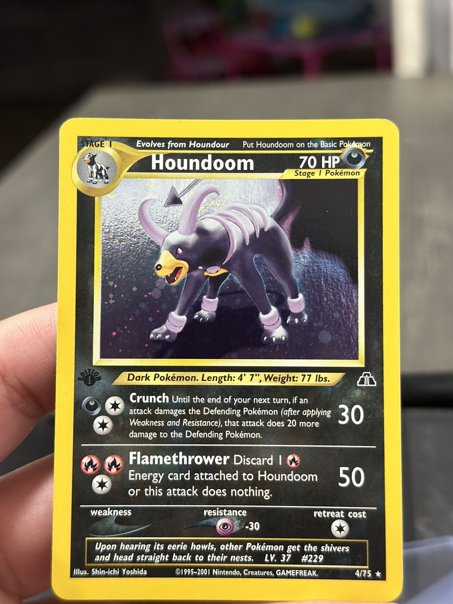Houndoom Neo Discovery
