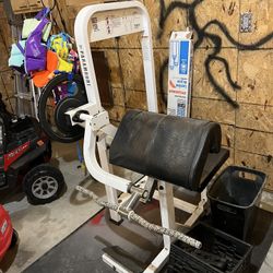 Paramount Bicep-Curl Macine