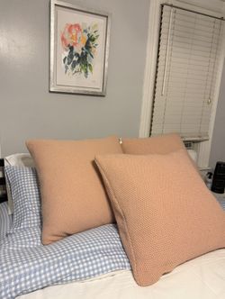 Set of 3 XL Down Feather Throw Pillows