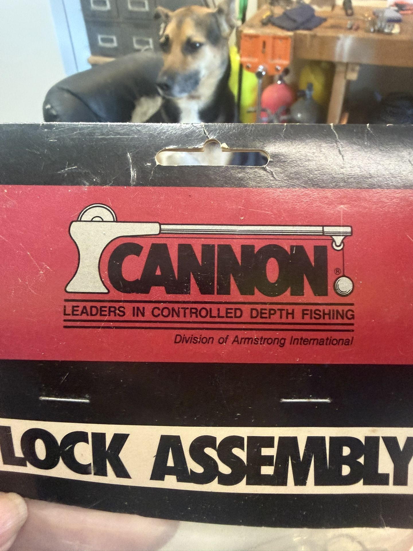 Cannon Lock Assembly For Down Rigger