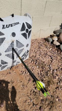 6 Gold Tip Hunter Xt